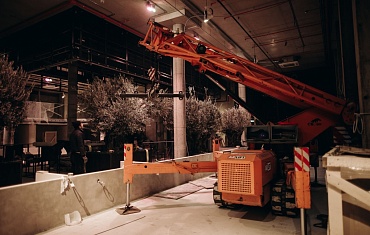 Перенос оливкового дерева в закрытом помещении